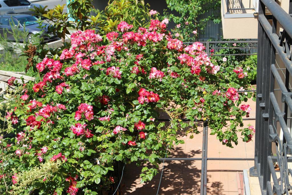 Flowers Apartments Nesebar Exterior foto